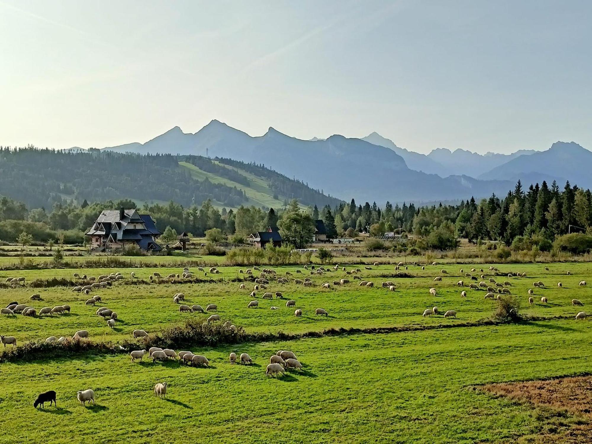Domek Z Goralska Dusza Sleboda Jurgów Exteriör bild